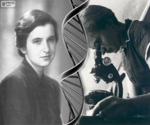 пазл Розалинд Франклин (1920-1958), пионер в исследовании ДНК